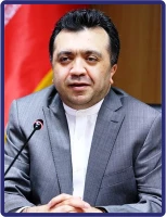 آقای دکتر امیرعلی نعمت الهی (عضو علی البدل هیات مدیره)