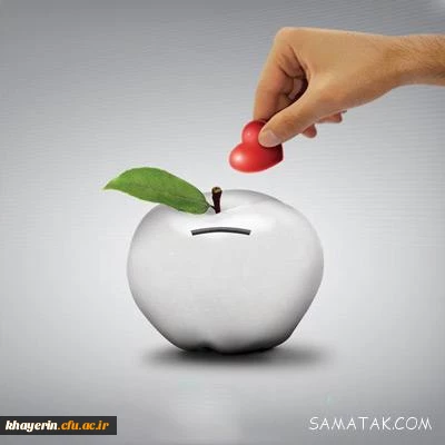 فیض خیر و نیک اندیشی از بانویی ناشناس 2