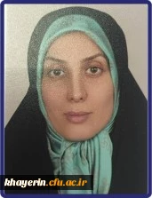 سرکار خانم مهندس سیده حمیده زرآبادی 